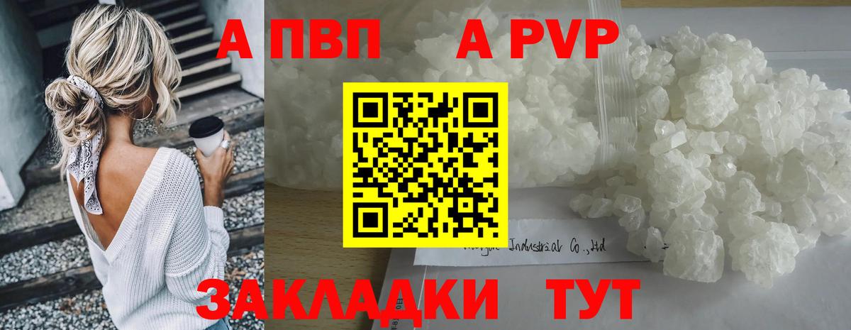 Альфа ПВП СК Йошкар-Ола