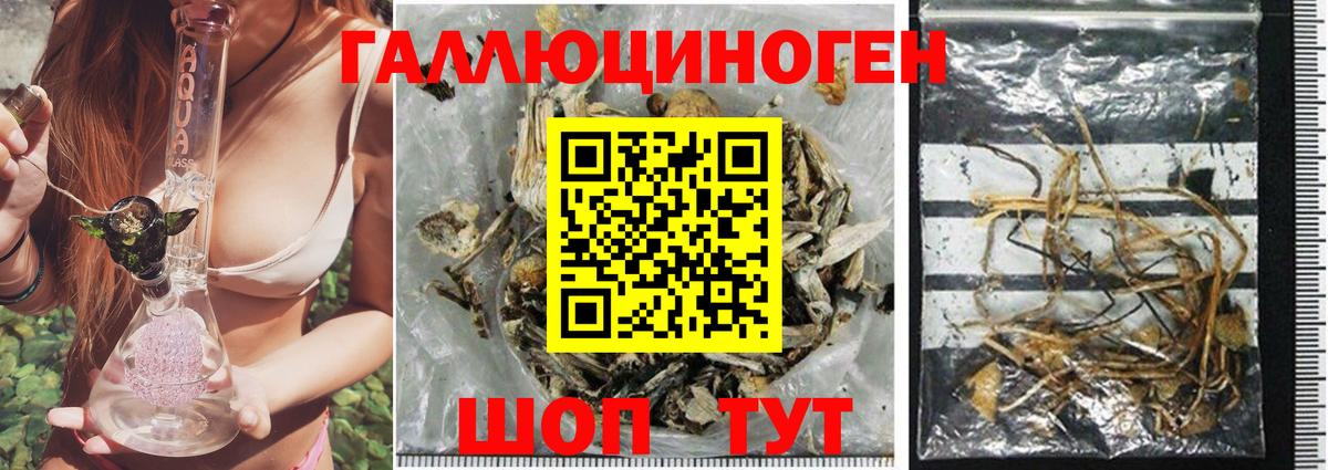 Йошкар-Ола  Галлюциногенные грибы мухоморы  Вход с VPN 